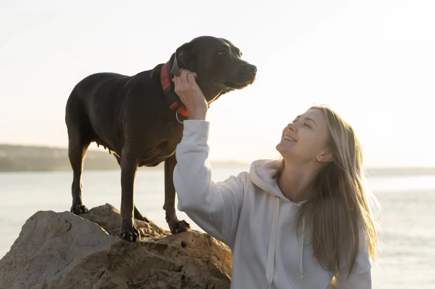 como cuidar de um pitbull