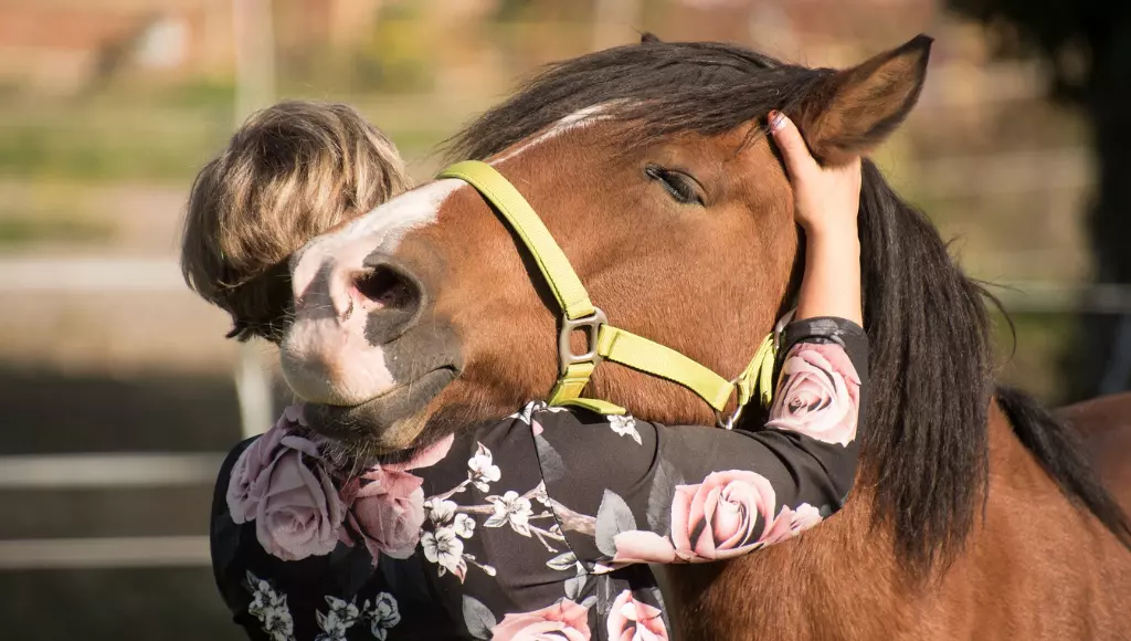 Amor animal entre humano e cavalo