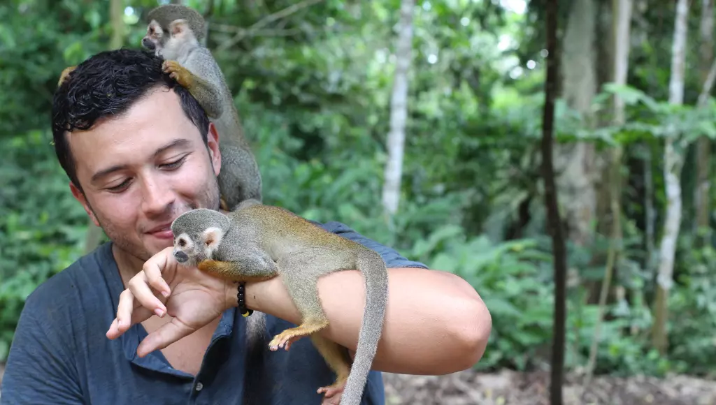Amor Animal entre homem e macaco