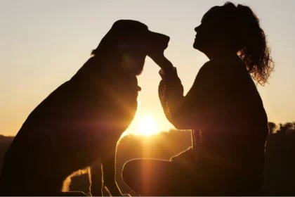 Amor animal entre mulher e cão