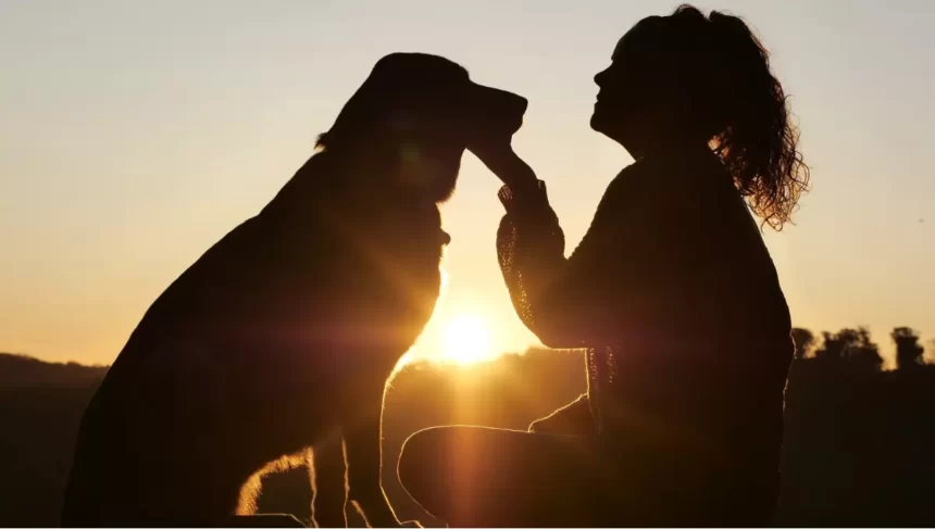 Amor animal entre mulher e cão
