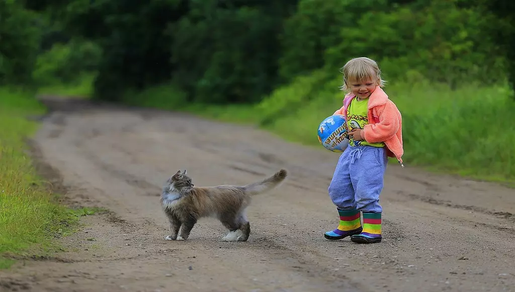 Criança e gato