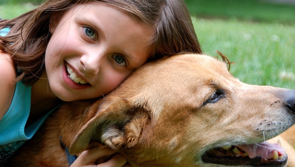 Criar um elo positivo entre crianças e cachorros.